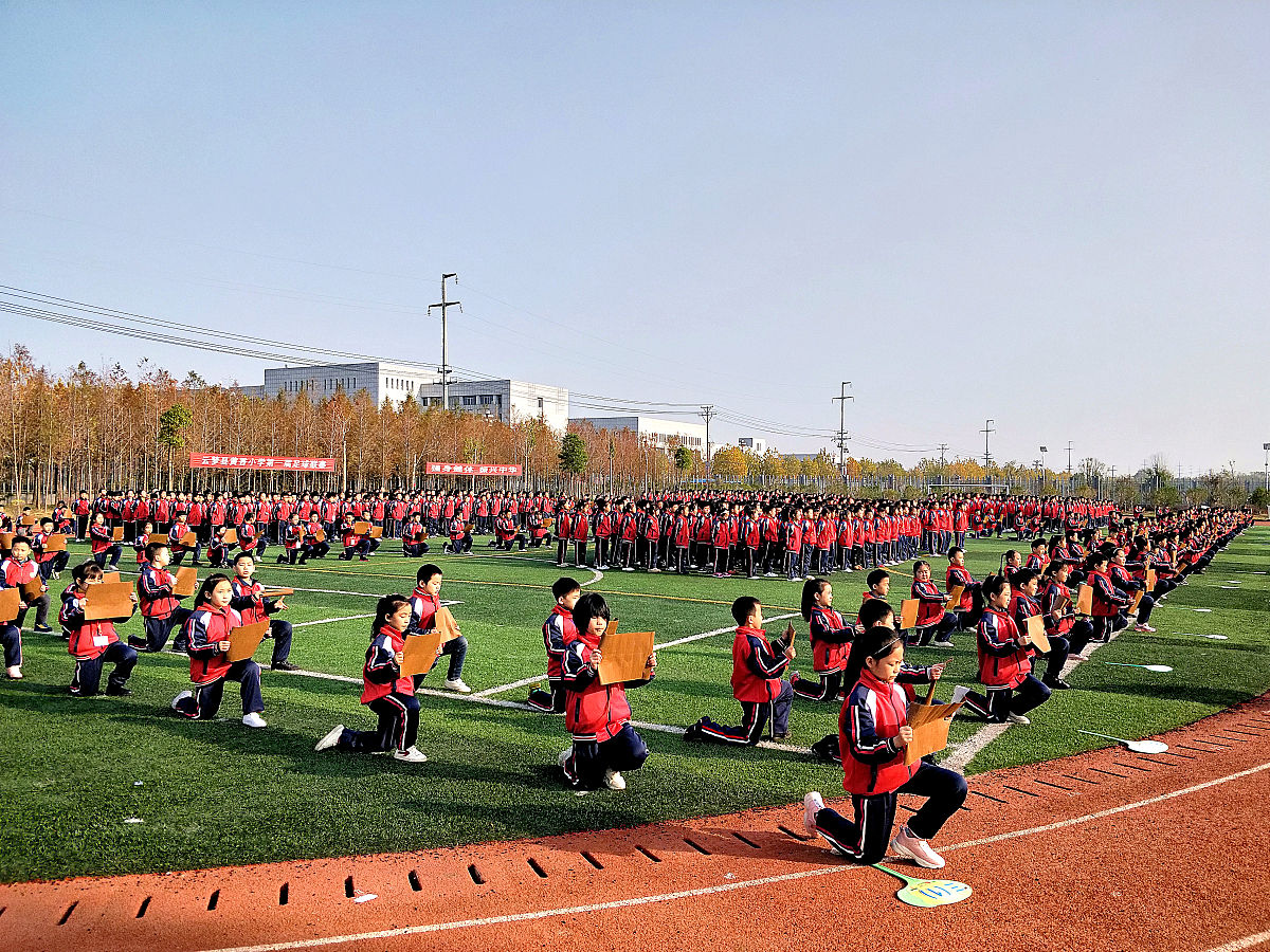 详细描述为什么优秀传统文化教育在小学阶段的教育体系不完善。