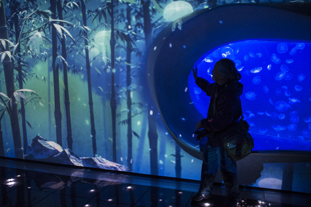 天津科技大学海洋技术专业怎么样？|优势分析及未来发展方向