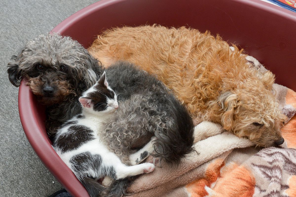 高速收费员的启示：从《认知觉醒》看自我改变的原动力