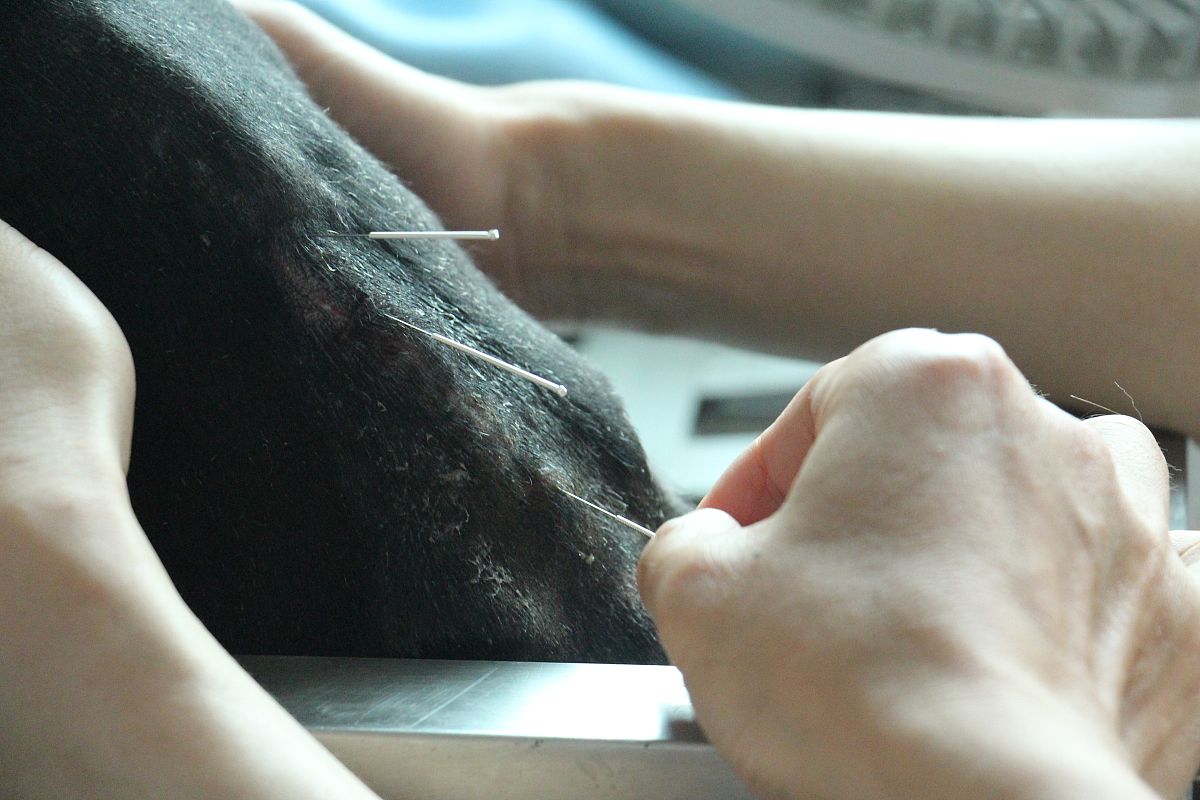 达州卫生学校针灸推拿专业招生