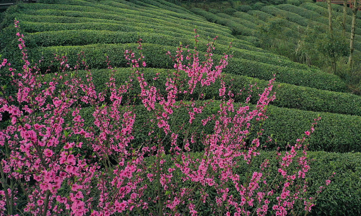2022年贵阳新城职业学校药剂专业招生