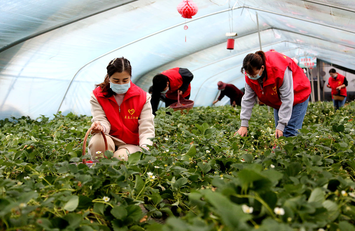 山东新时代药业有限公司实习报告：市场调研、推广与生产管理经验