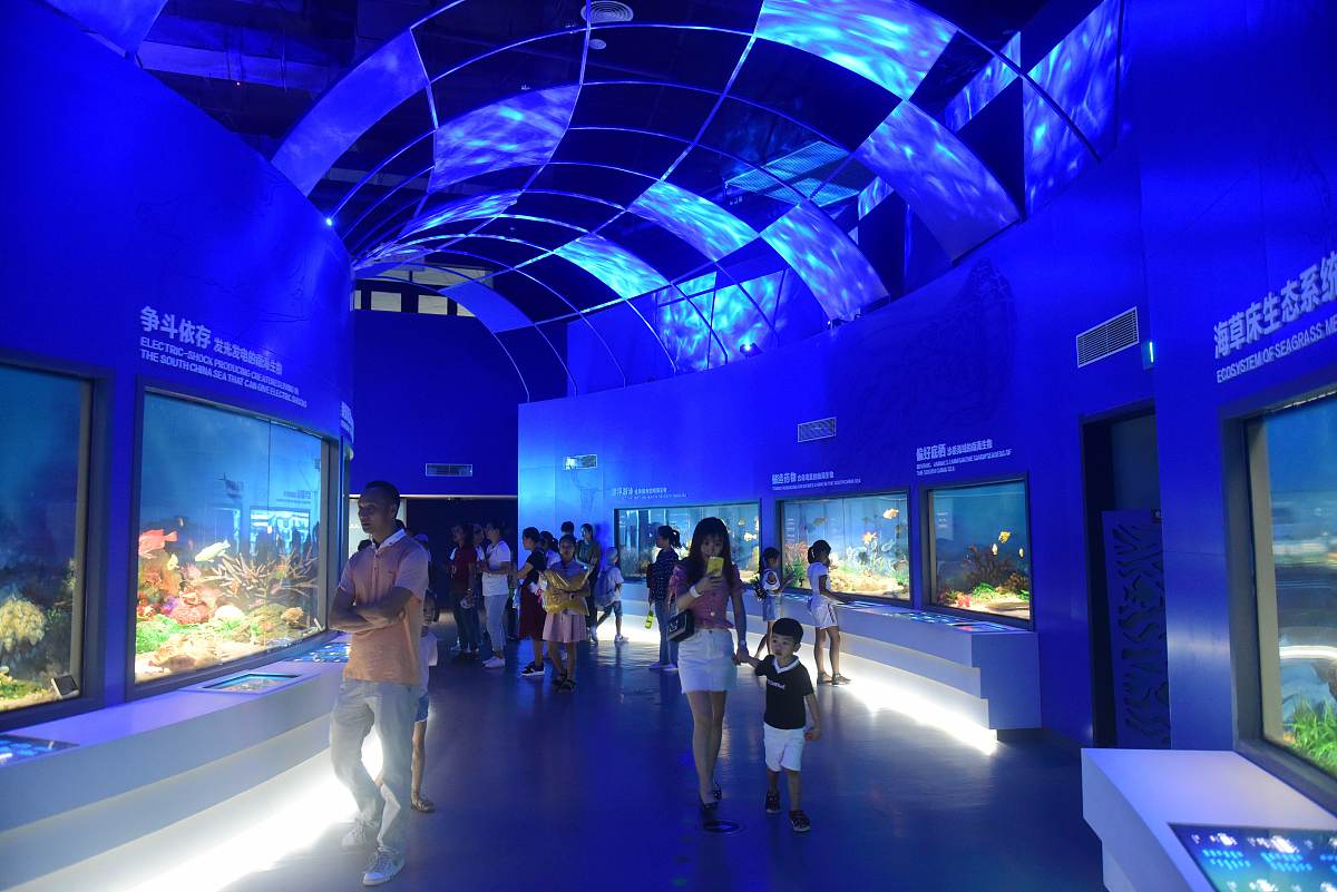 School Hosts Ocean Picture Exhibition to Promote Conservation