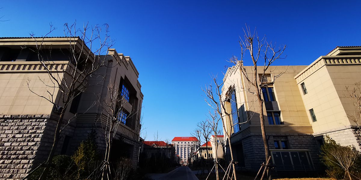 2019年03月23日,山东大学(青岛分校).