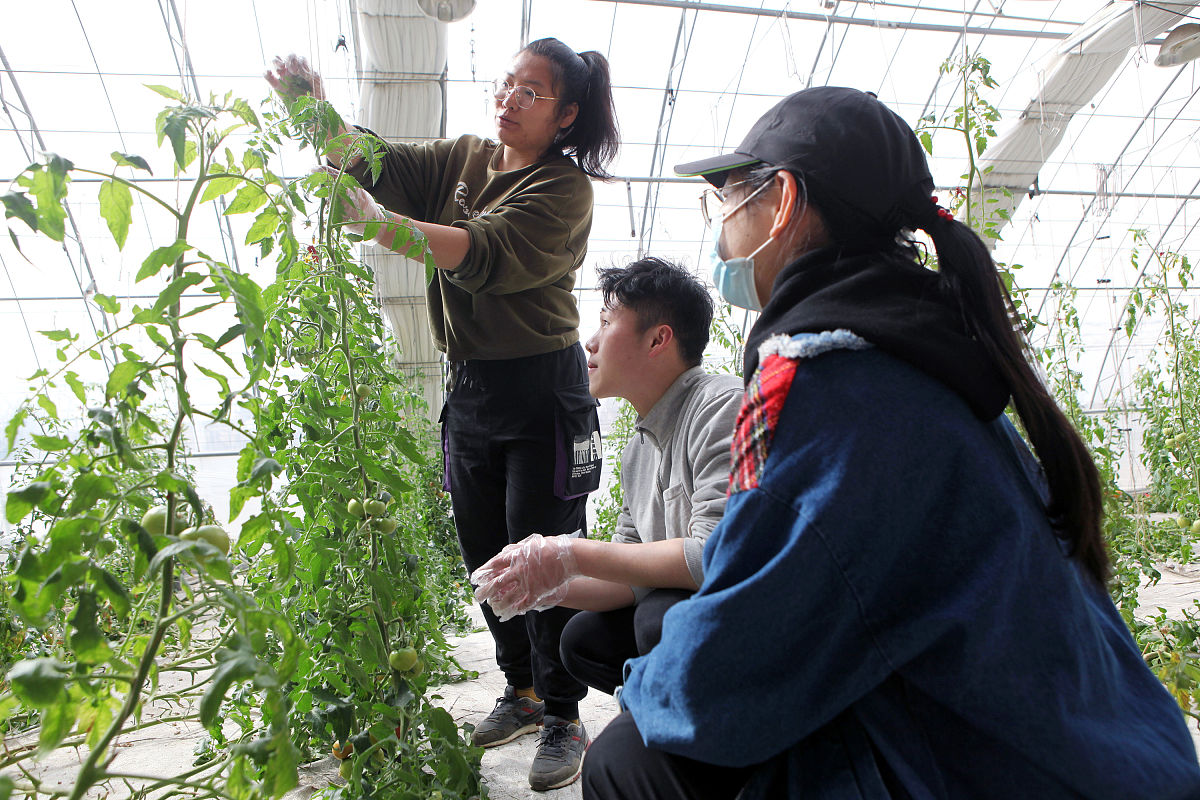 辽宁农业职业技术学院2019年招生简章