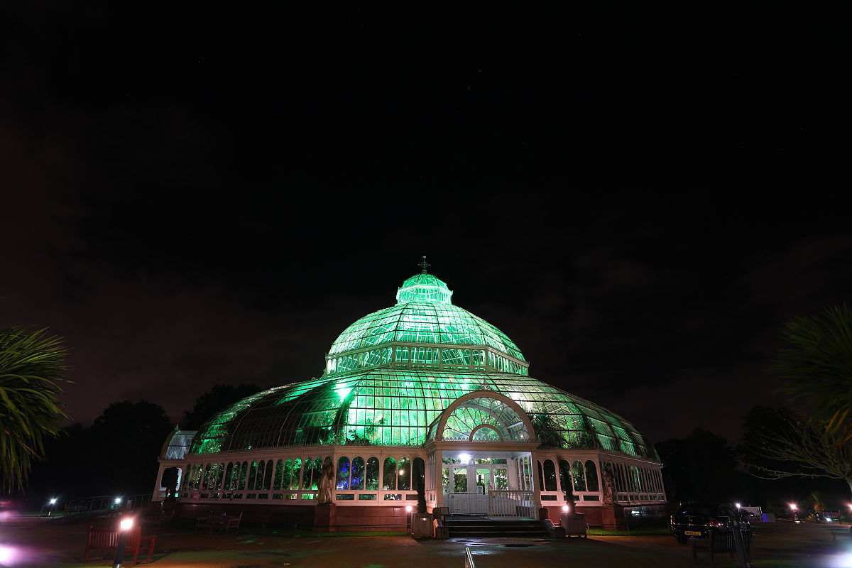 国际精神卫生日 PPT 制作指南：提高意识，促进健康