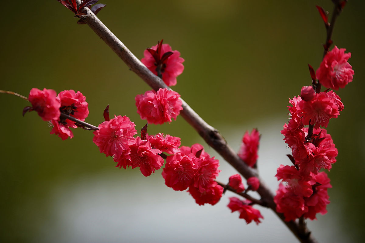 三峡联合职业大学电子商务专业介绍：课程、就业、发展前景