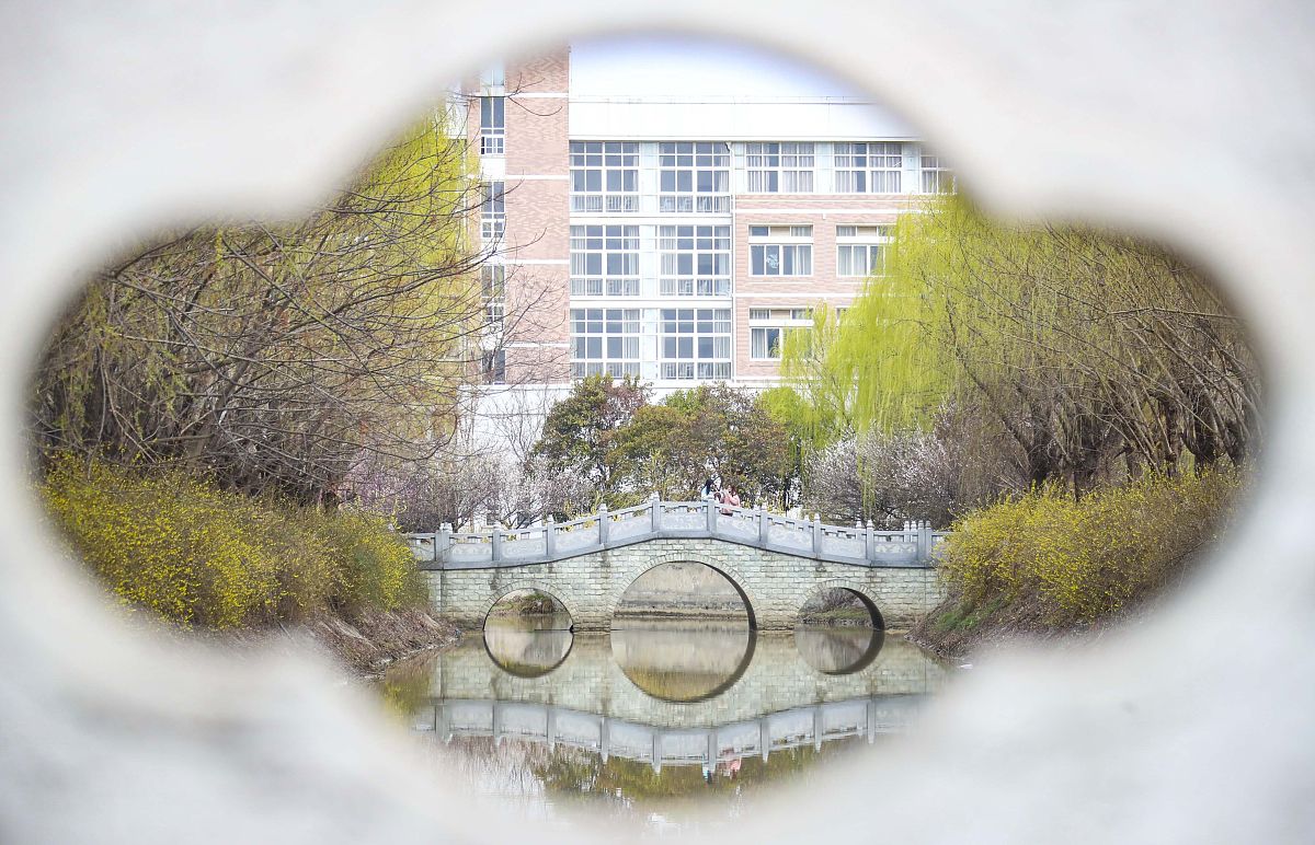 四平职业大学计算机网络技术专业：课程设置、就业前景及发展建议