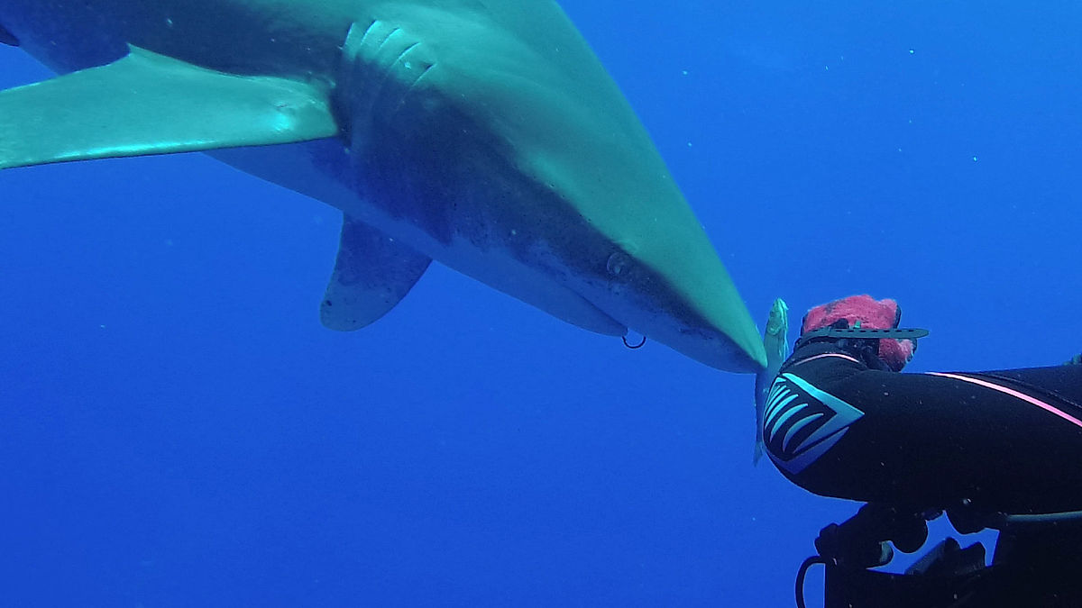 海洋大学附属小学招生时间及特色介绍