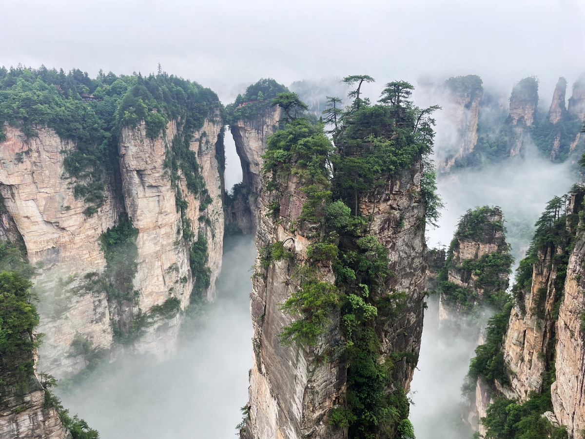 张家界的媒体曝光平台有哪些｜张家界媒体曝光求助热线是多少 要求：创建一篇1500至2000字的解决方案