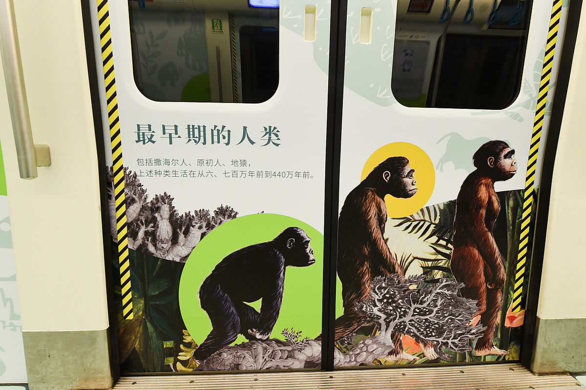 (如需下载使用,请务必署名 红星新闻 王欢/视觉中国)2020年8月31日,成