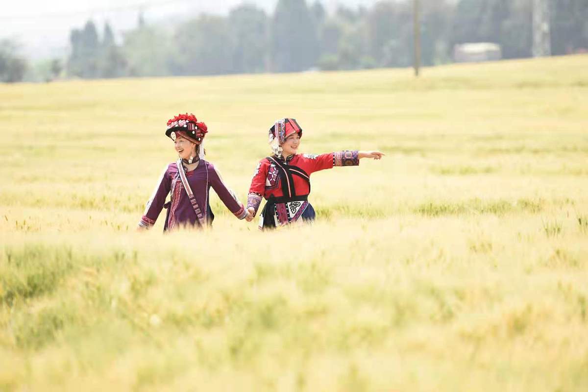 云南2022年新增卫校名单及招生计划 - 最新消息