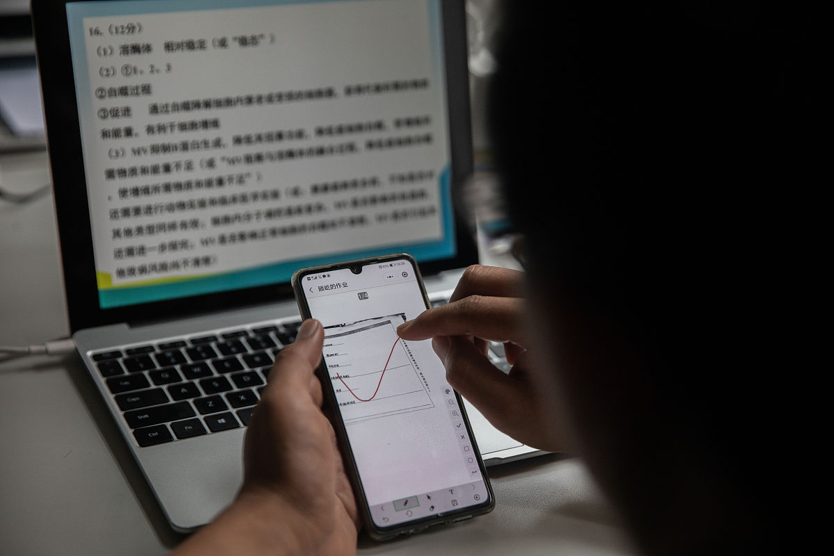 基于QQ作业的作业批改程序：总结与展望