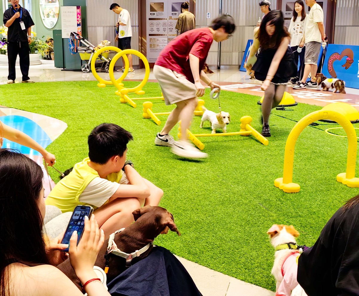 商场活动对促进亲子交流的意义