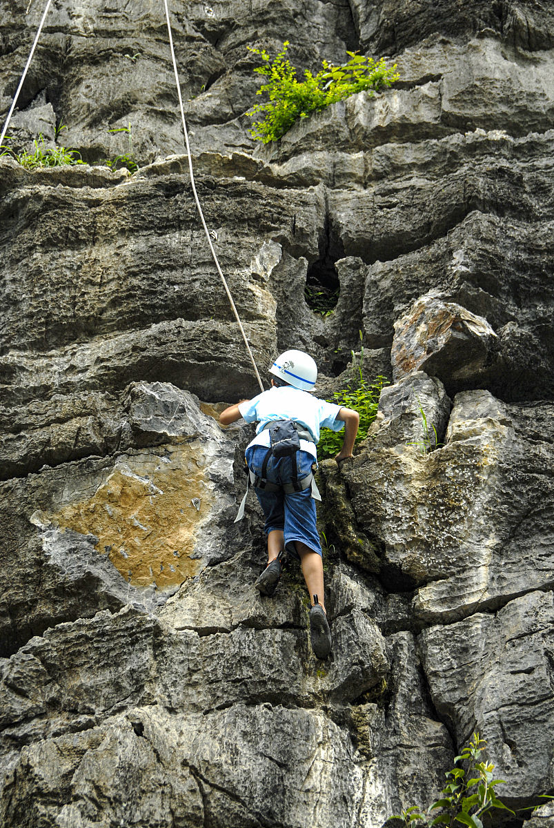 广西科技职业学院师资如何