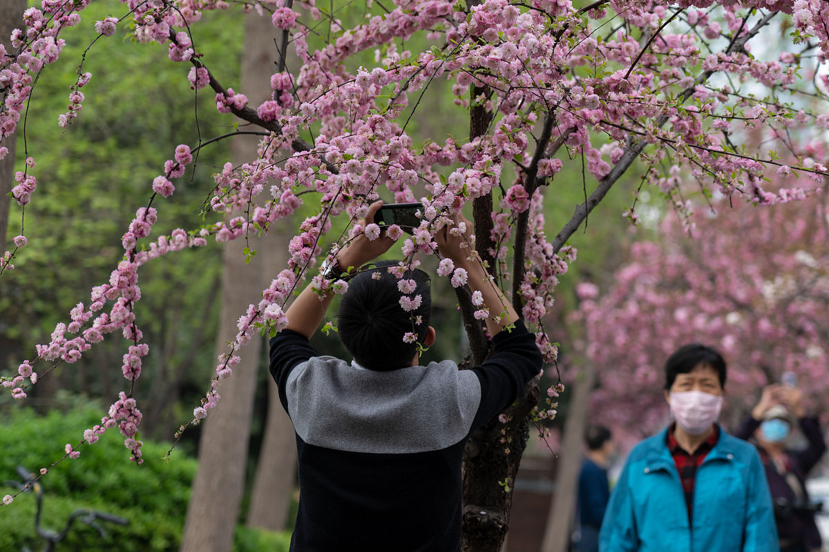 有什么可以帮你的吗某某开发区杏花摄影节活动策划案一、活动背景： 当前摄影已成为现代人最为普遍、最为生活化的美学追求方式之一。为深入推进打造文化、宜居、现代化开发区落实区委、区政府文化惠民、文化强区、文化富民工作思路在加强开发区文化旅游产业发展的同时也为广大摄影爱好者提供了一个良好的交流与展示平台。于是某某开发区决定举办杏花摄影节活动为广大摄影爱好者搭建一个全新的平台。二、活动主题： 花韵某某观赏杏