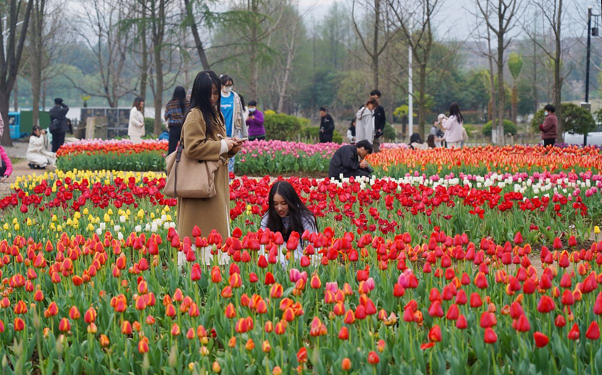 重庆卫生行业的药剂专业课程