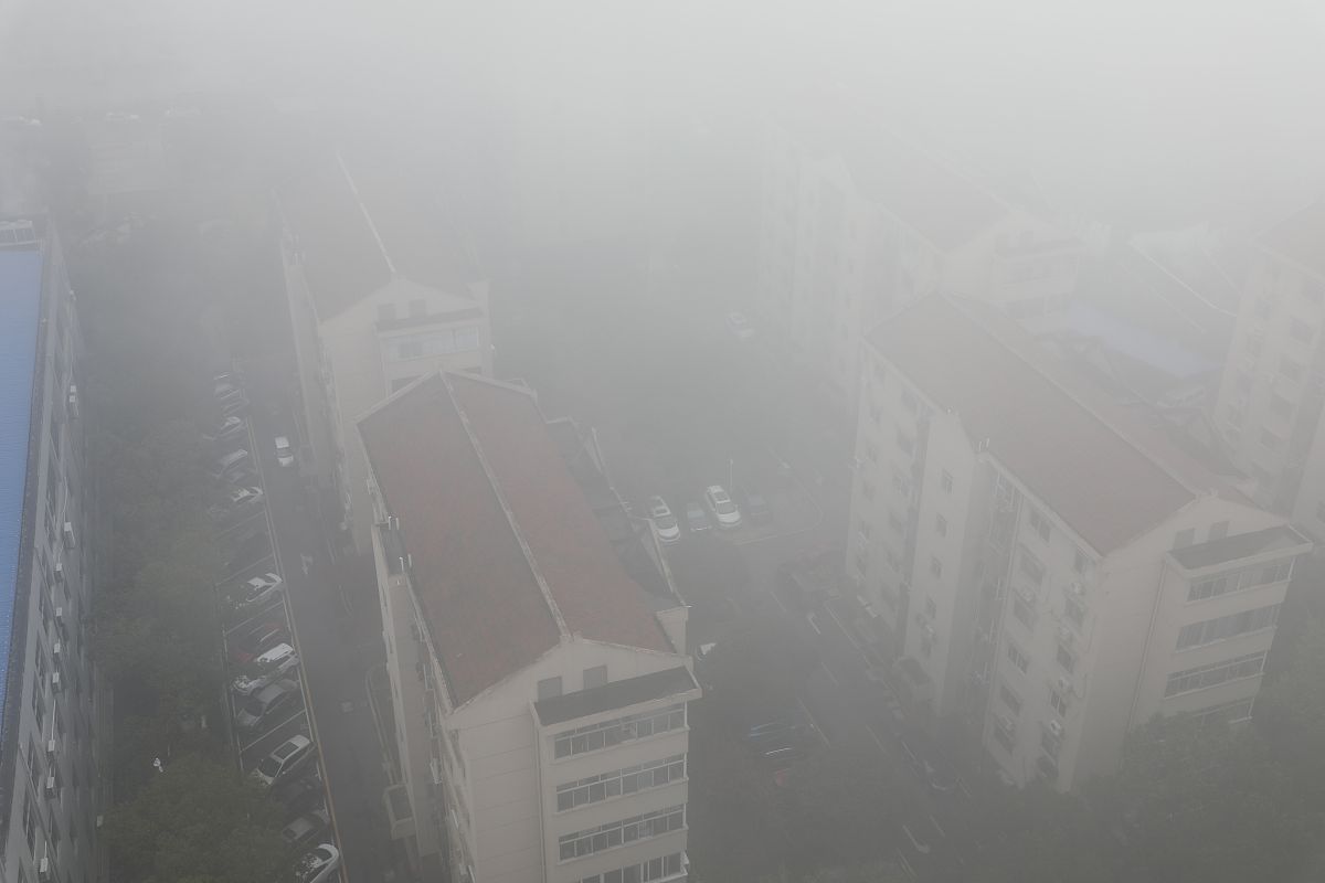 天气出现大雾的原因是什么？