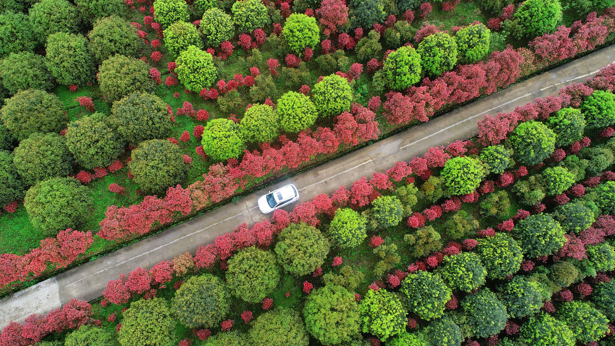 重庆农业机械化学校招生简章：专业设置、师资力量及发展前景