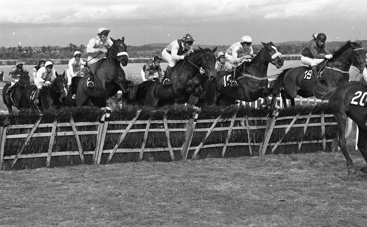 纽约已消失的体育运动：从滑冰马球到狗橇比赛