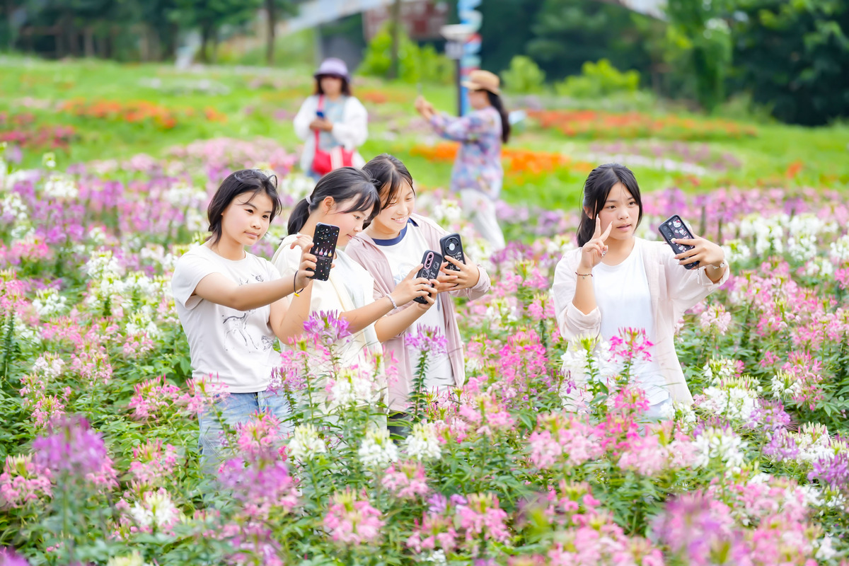 春风有信，花开有期：春日赏花、品茗、野餐、踏青活动