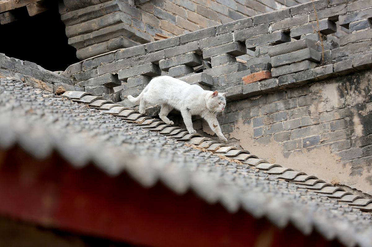 2019年会东电子科技学校招简章