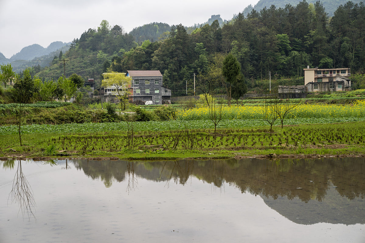 农村有哪些好风景最好用典故成语