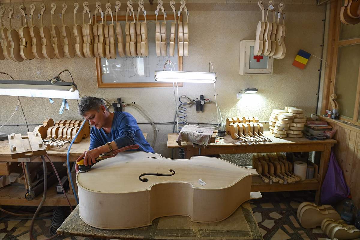 劳动教育工作总结800字工作计划课程活动