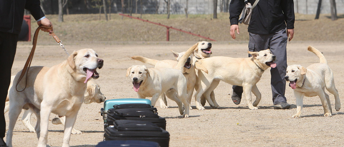 事业单位人员个人工作总结