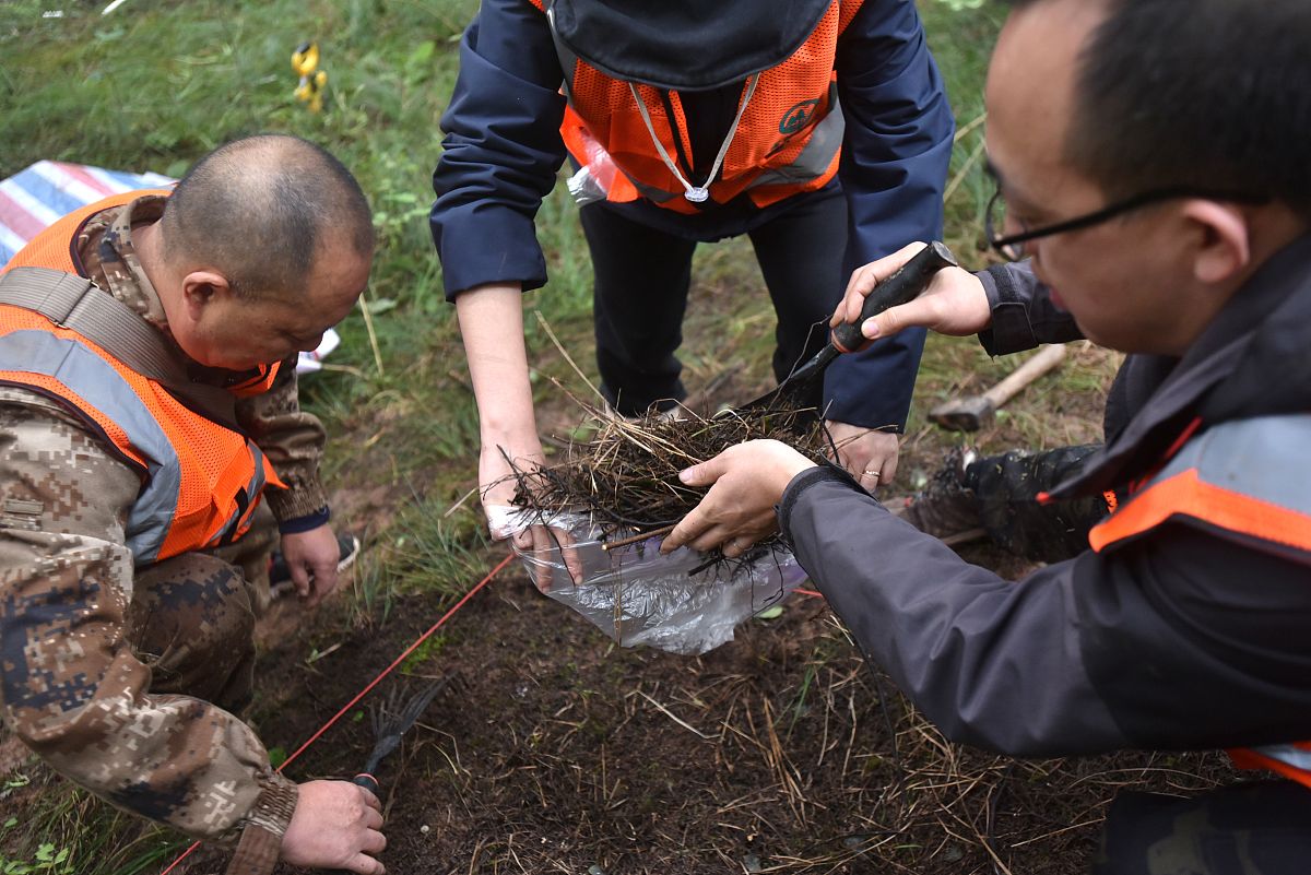 林业方面乔木林面积和蓄积有无相关换算关系能否根据乔木林面积估计蓄积的数值