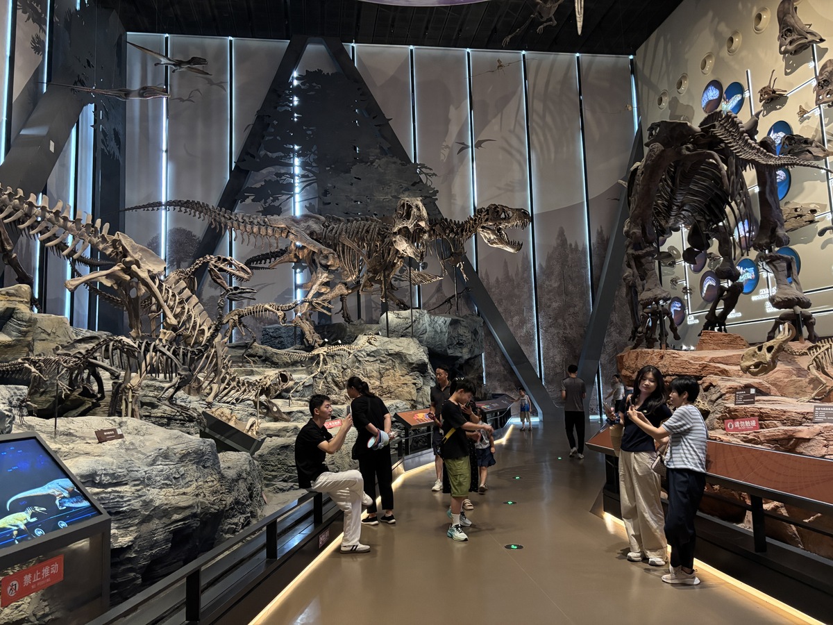 你是一个英语专业的大学生你今天参观了一个自然博物馆里面都是一些古生物和现代生物一类的名为Dalian Natural History Museum需要写一个感受英文分为三部分现在请写第一部分不少于四百词