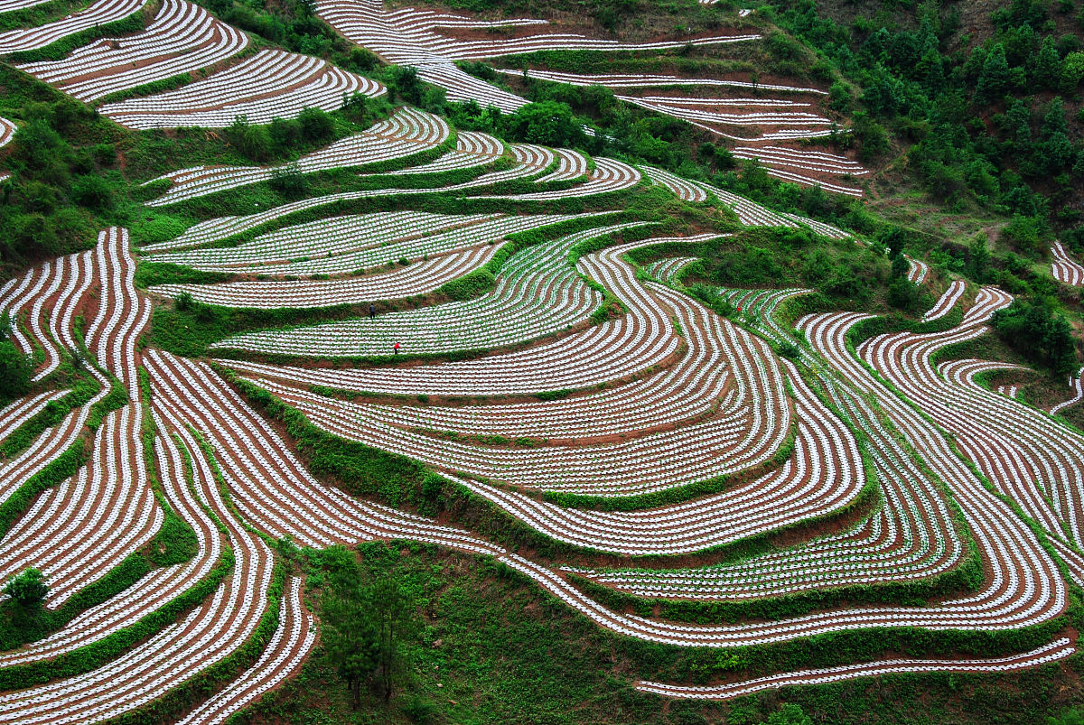 山西农业广播电视学校2022年招生简章 - 报考条件/专业/计划