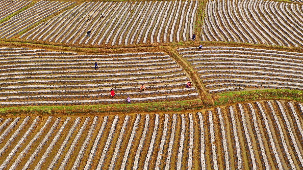 吉安市媒体曝光求助热线是多少？最管用的曝光平台 要求：创建一篇1500至2000字的解决方案