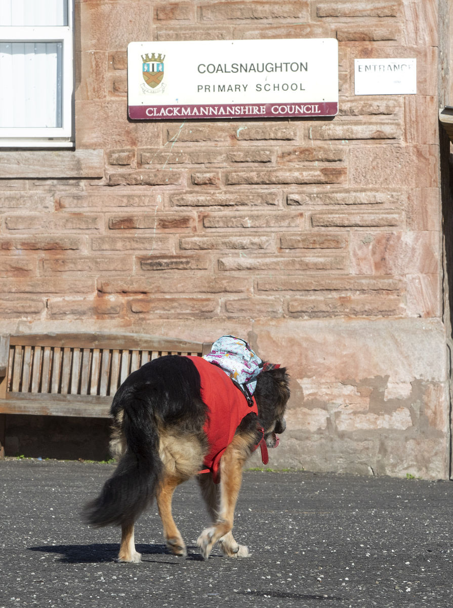 我们为什么要读书