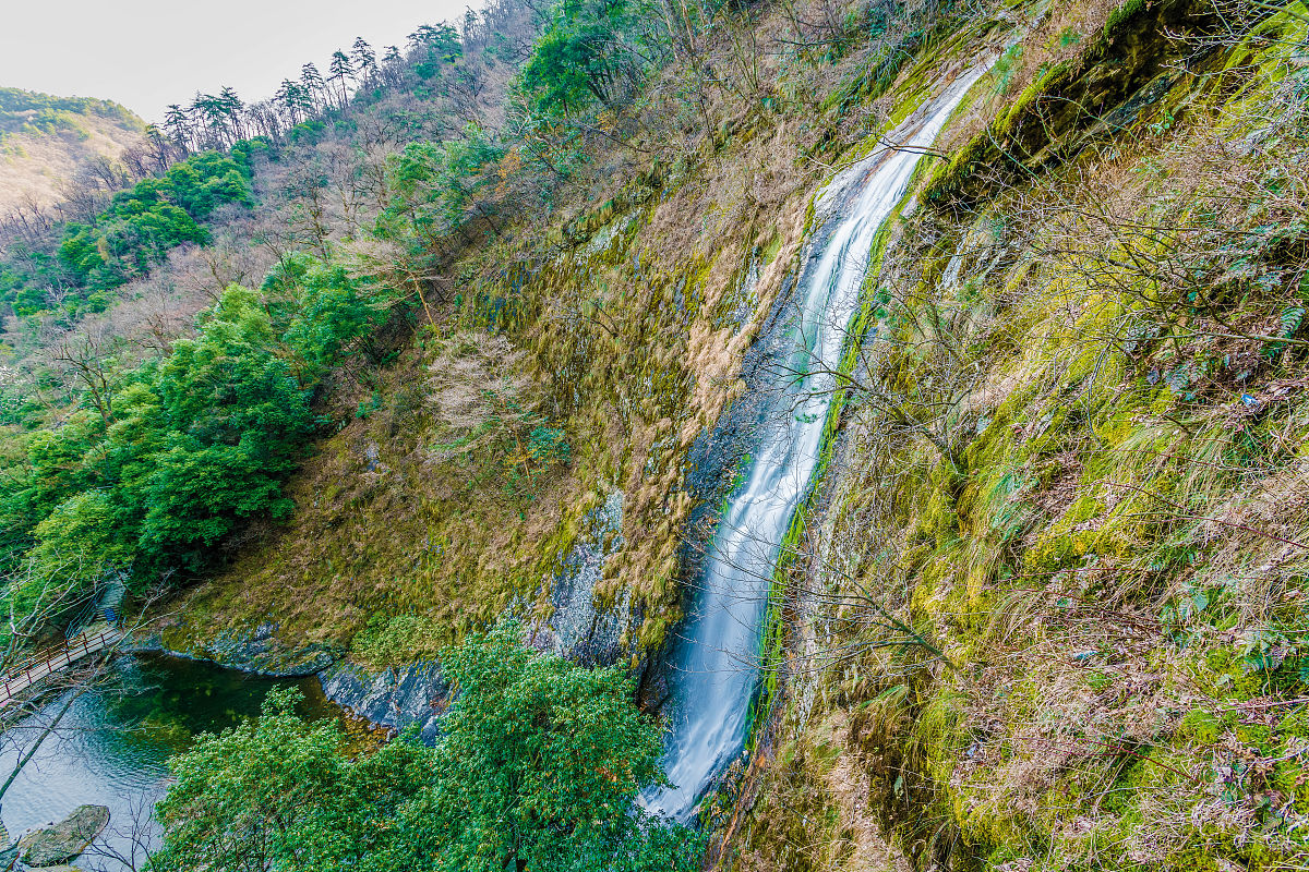 2022安徽金寨职业学校招生简章