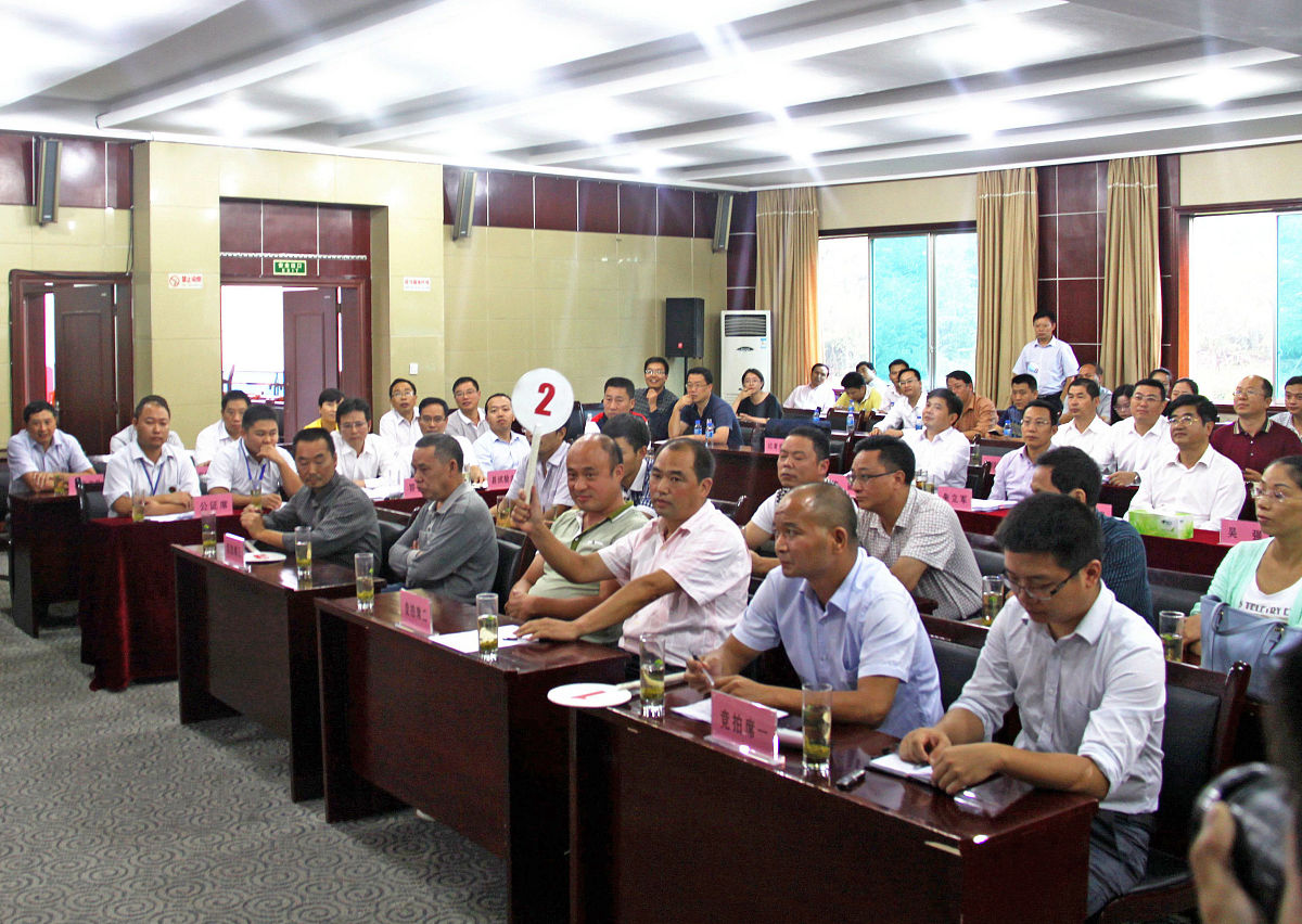 集体经营性建设用地出让给个人使用的案例