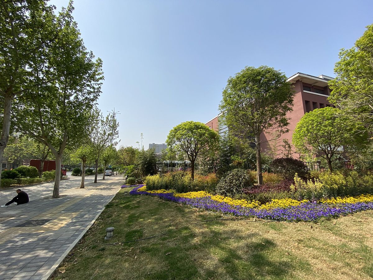 武汉市学校环境建设：打造美丽舒适安全的学习乐园