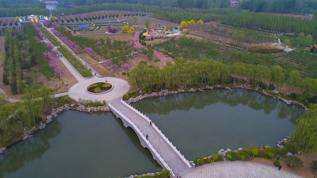 贵州职校现代林业技术专业就业前景分析：好就业吗？