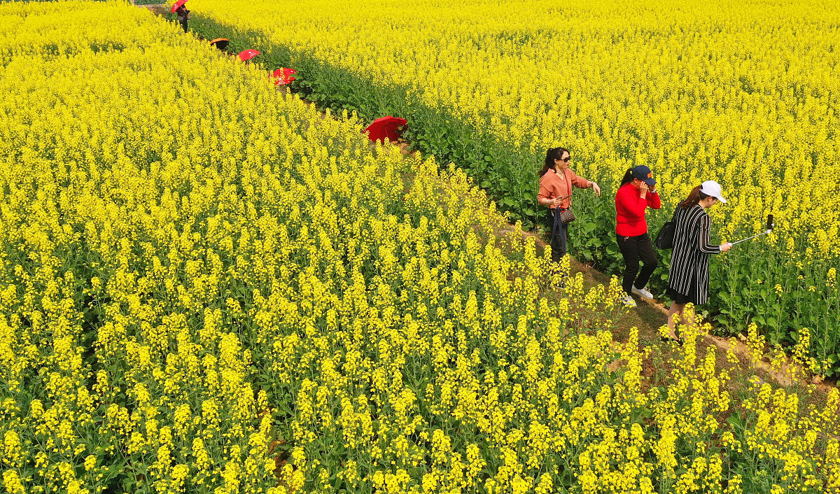 江西农业工程职业学院招生简章-怎么样