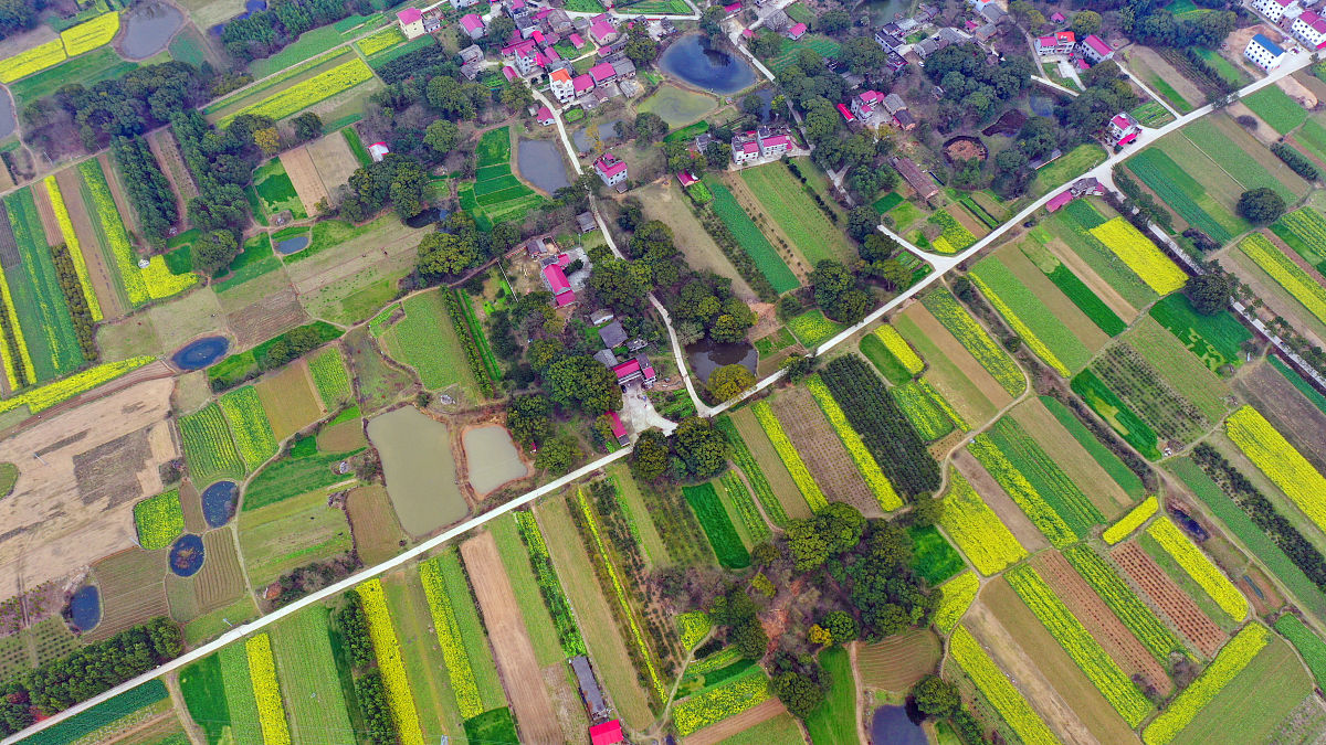 2023年上半年村支书述职报告标题大全