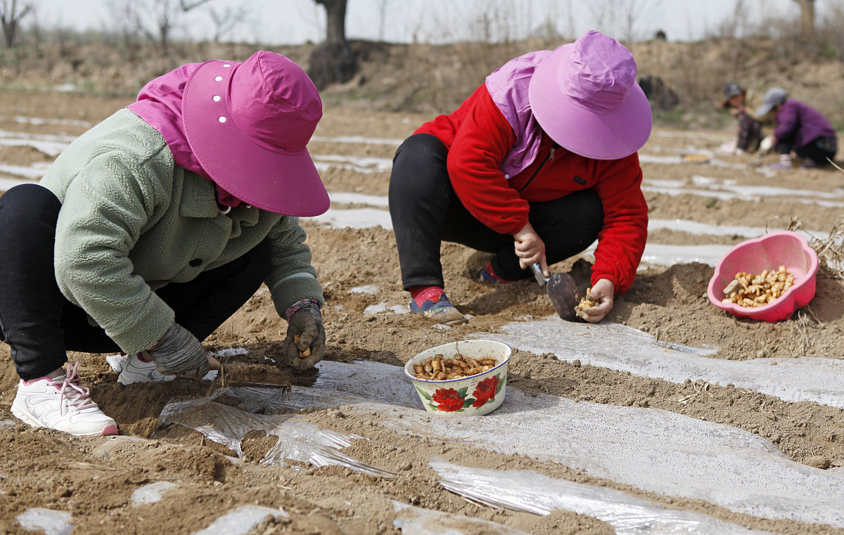 2023年蕲春李时珍中等专业学校招生专业都有哪些-好不好