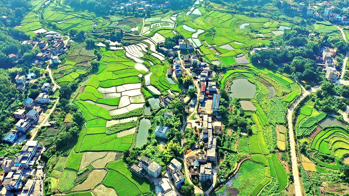 乡村振兴：'一村一梦，一老一小'项目助力老人增收、儿童发展