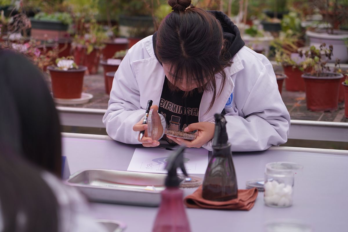 重庆园林技术专业哪个学校好？ - 2023年最新排名及推荐