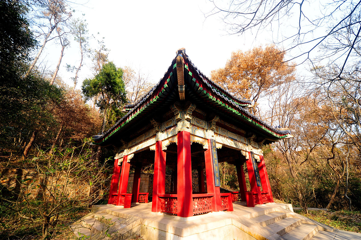 南京中专学校学什么专业好？2023年热门专业推荐