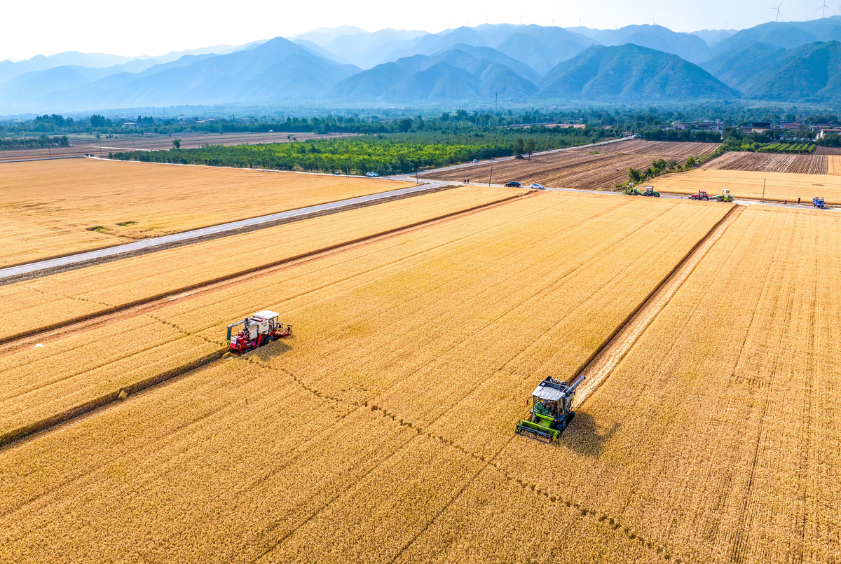 全国许多乡镇在查农村池塘复耕。山顶弄梯田篮球场上种菜马路上种蕃薯。有个别地方疑似应付上级部门的复耕命令。现在俄乌战争让世界人民高度重视粮食产量与价格。控制了粮食就控制了全人类我国储备了2年15亿人的口粮。请你谈下看法500个字数