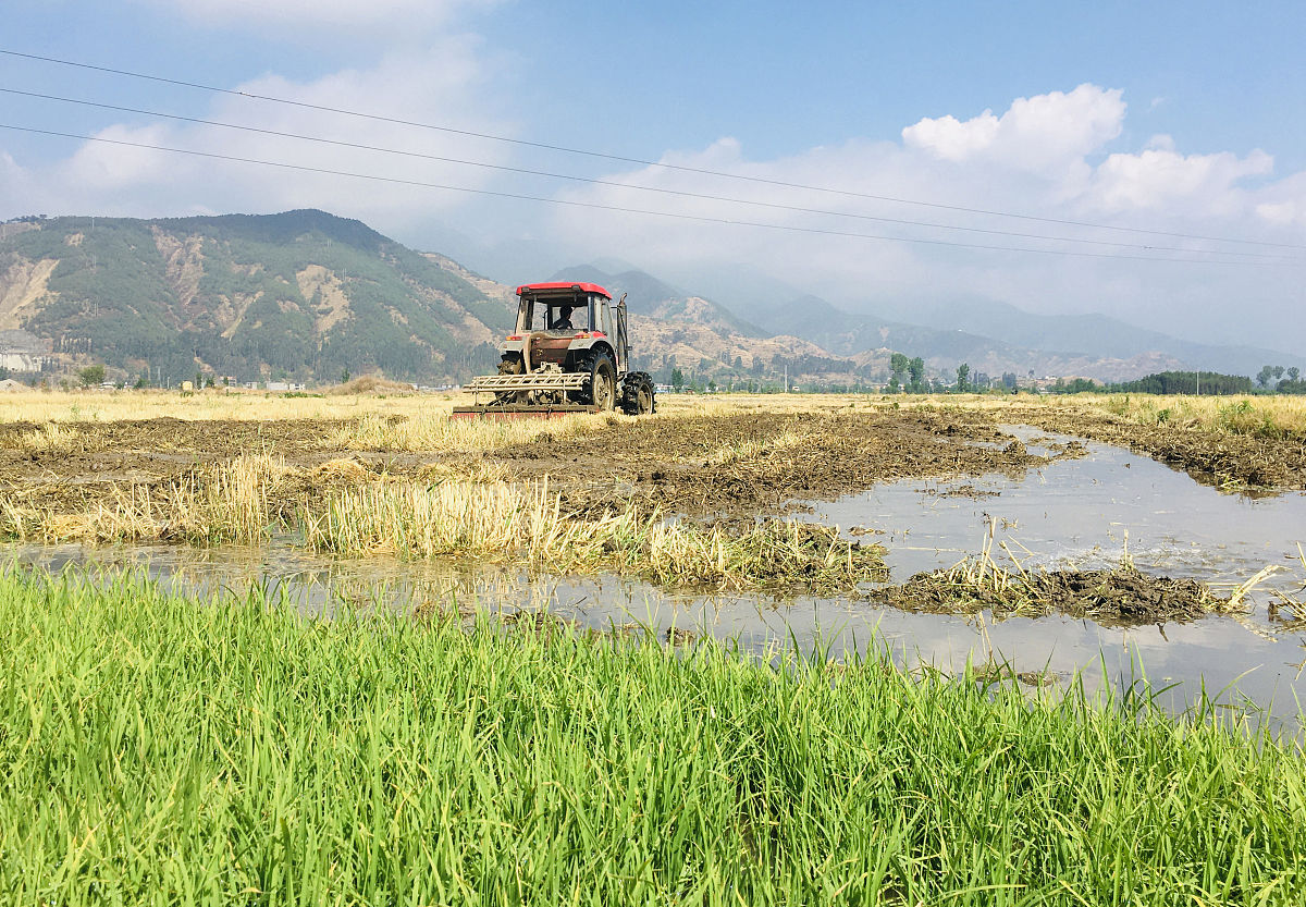 曲靖农校2019年五年制大专招生信息