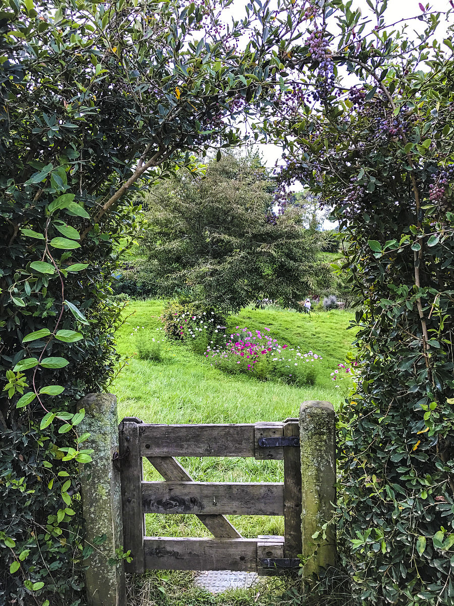 新西兰中土旅行社: 翁格玛丽效应助力旅游业成功案例