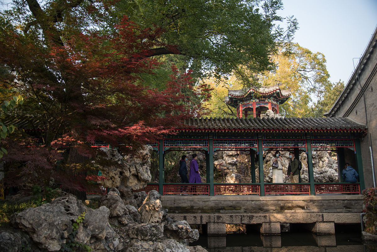 冬日里的暖阳 写一篇300字小学作文