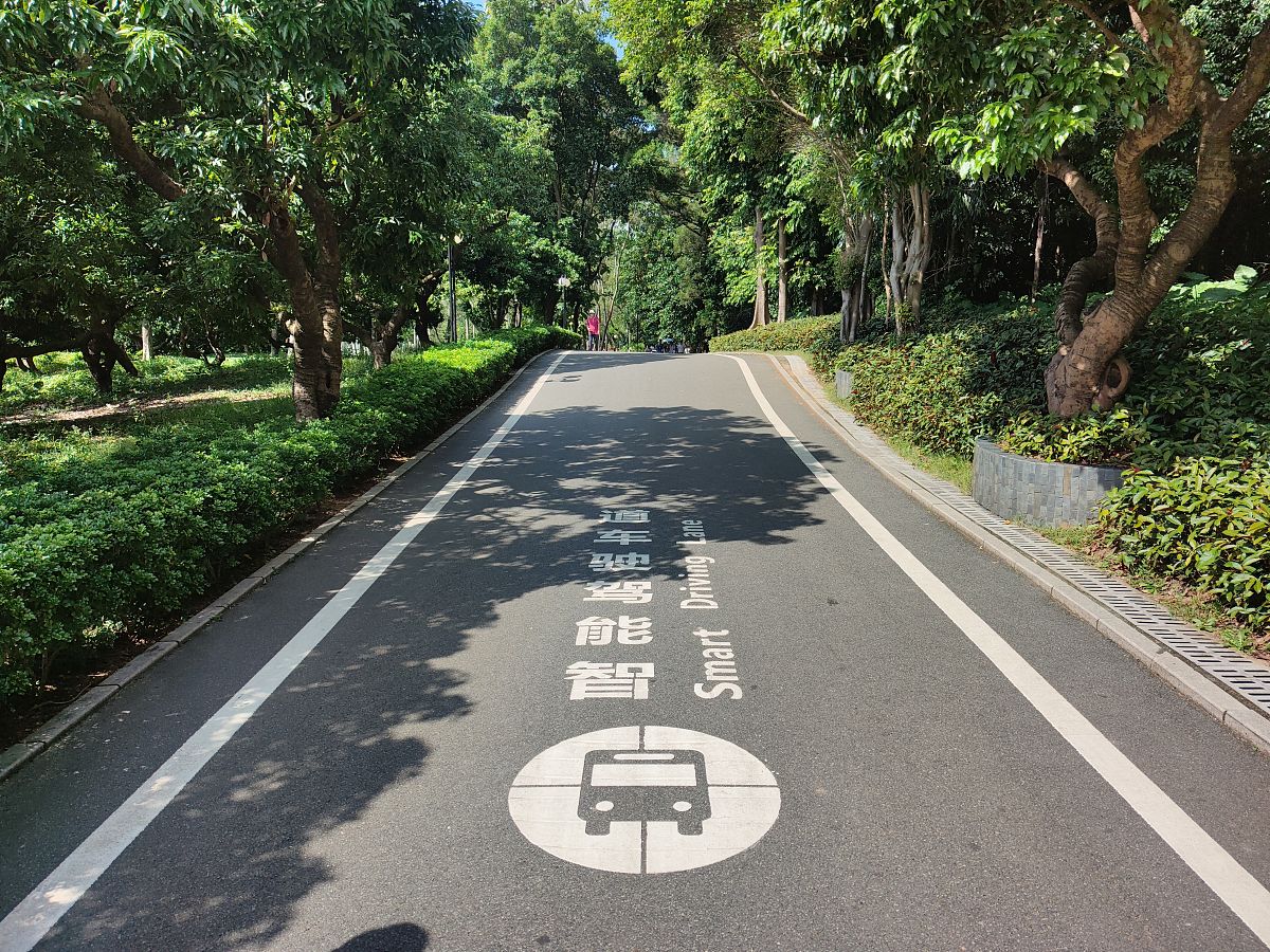 深圳莲花山公园可以摆摊吗