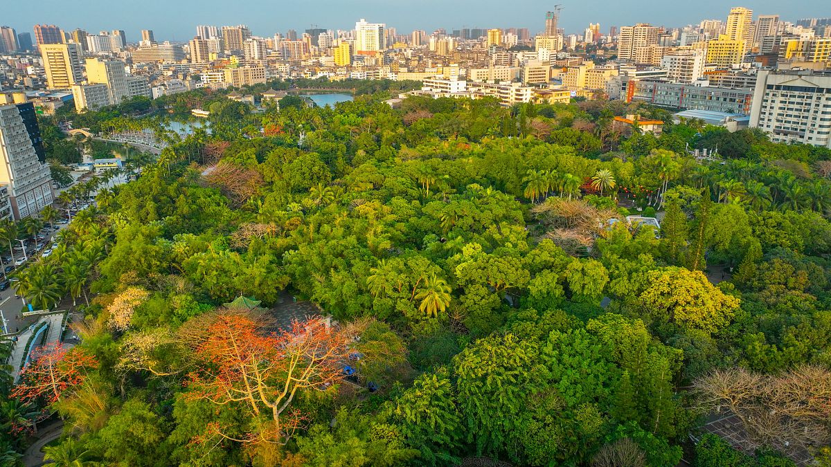 2022年3月12日,春回大地,万物复苏.俯瞰海口人民公园一带绿意盎然的景